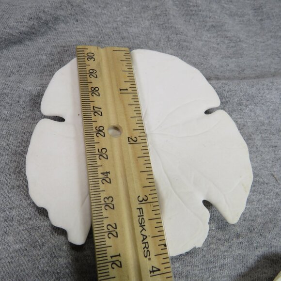 Sea Shell Sand Dollars REAL Large 4" and large white shell 4" Coastal White - Picture 3 of 9